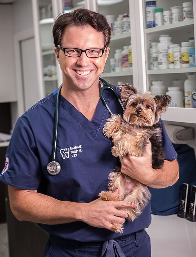 Dr. Jon Klarsfeld